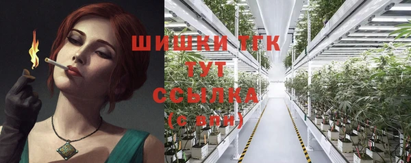 спайс Баксан