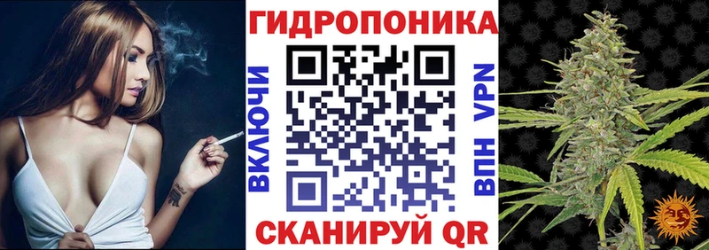 МАРИХУАНА ГИДРОПОН  наркота  Беломорск 